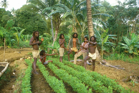 Foto: Organischer Landbau als Projekt der Zimbabwe Roots Farm (Manfred Kremser © 1985)