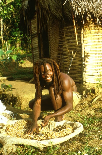 Foto: Chikalot, ein Roots Rasta beim Trocknen von Erdnüssen (Manfred Kremser © 1985)