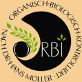 ORBI-Logo