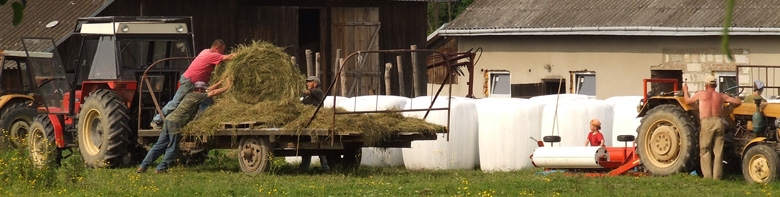 Foto: Bauern beim Silieren von Heuballen, Polen 2006, Matthäus Rest