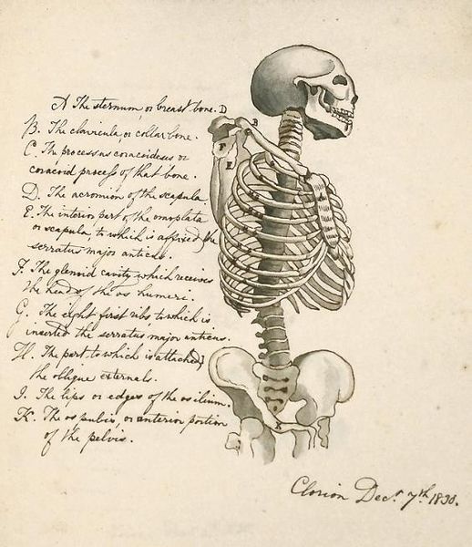 File:Einfpropaedksa-9 1.jpg