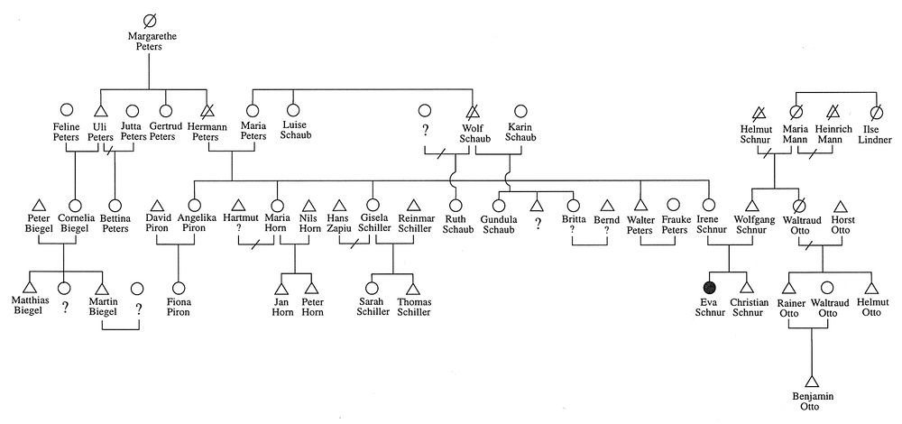 Abb. 1. Anonymisierte persönliche Genealogie (aus Fischer 1996: 43)