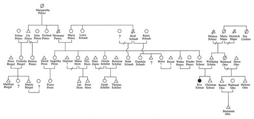 Abb. 1. Anonymisierte persönliche Genealogie (aus Fischer 1996: 43)